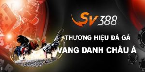 SV388 là thương hiệu đá gà vang danh Châu á